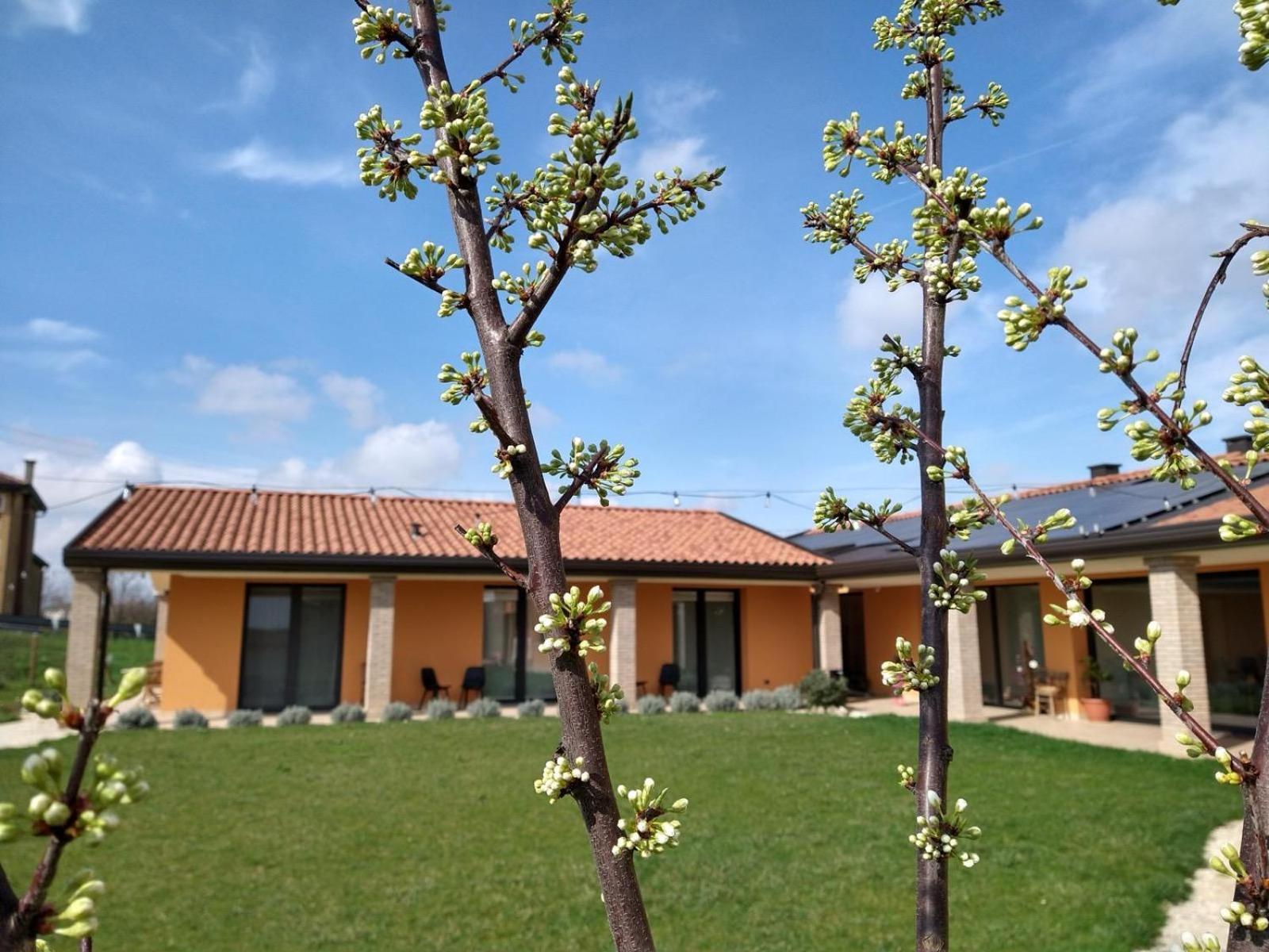 Agriturismo Verdecielo Padua Rum bild